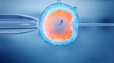 绍兴试管婴儿医院有哪些？绍兴试管婴儿医院哪家比较好？