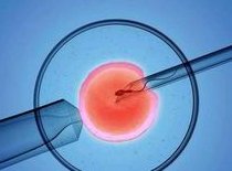 郑州助孕行业领军企业盘点：揭秘顶尖助孕机构排行榜